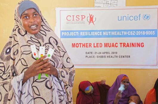 Mother led MUAC Training Shibis Health Centre